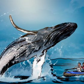 Origin of crypto whales